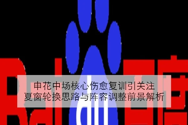申花中场核心伤愈复训引关注 夏窗轮换思路与阵容调整前景解析